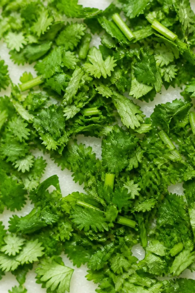 Bright green cilantro leaves chopped into uneven little pieces across the top, with some stems visible. The color looks fresh and not dark.